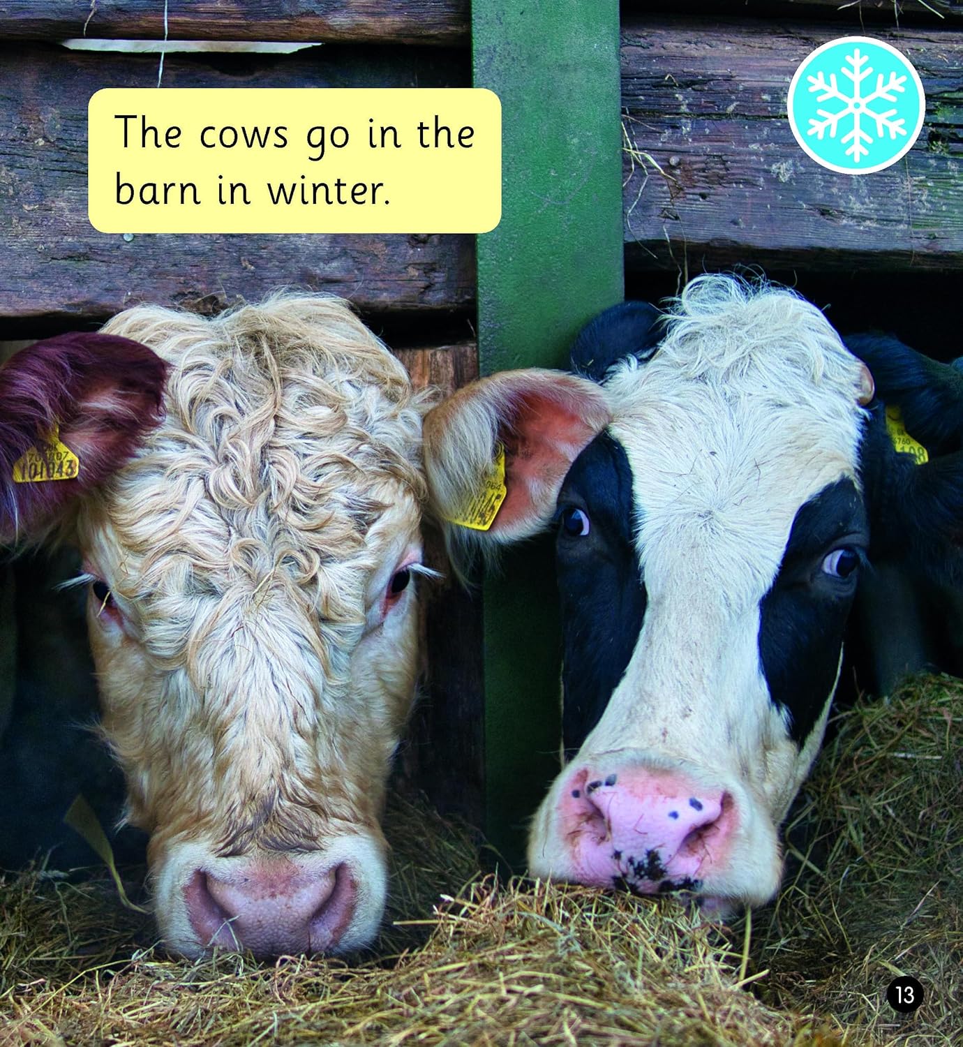 A Year on the Farm (Set 6)