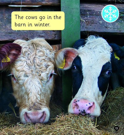 A Year on the Farm (Set 6)