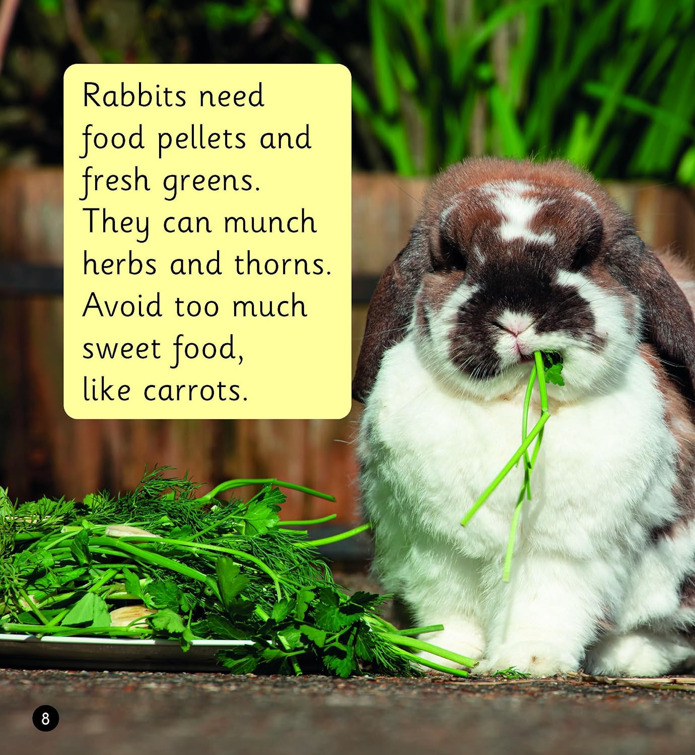 Pet Rabbits (Set 8)