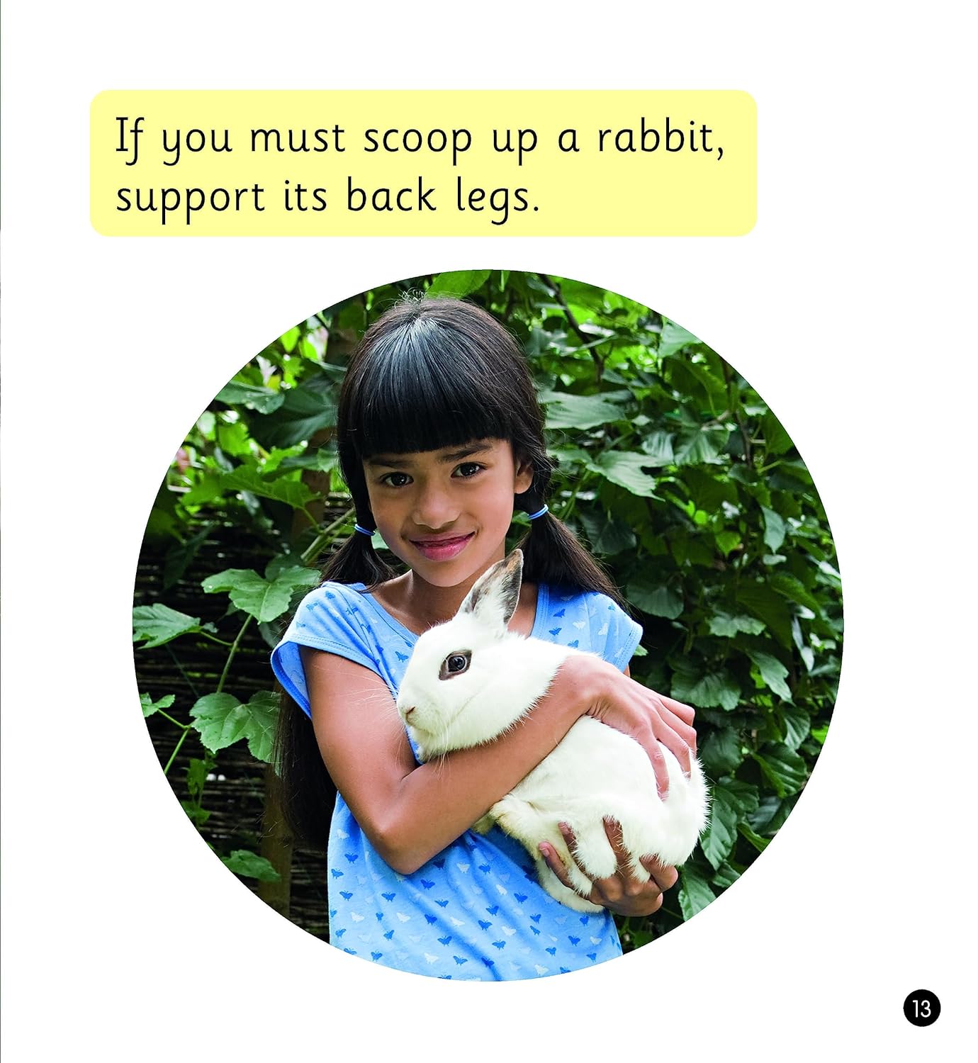 Pet Rabbits (Set 8)