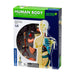 Thames & Kosmos, 260830, Human Body Anatomy Model, 37 Parts with Stand and Guide Book, Build Your Own Human Body, Nature Discovery Range, Ages 8+