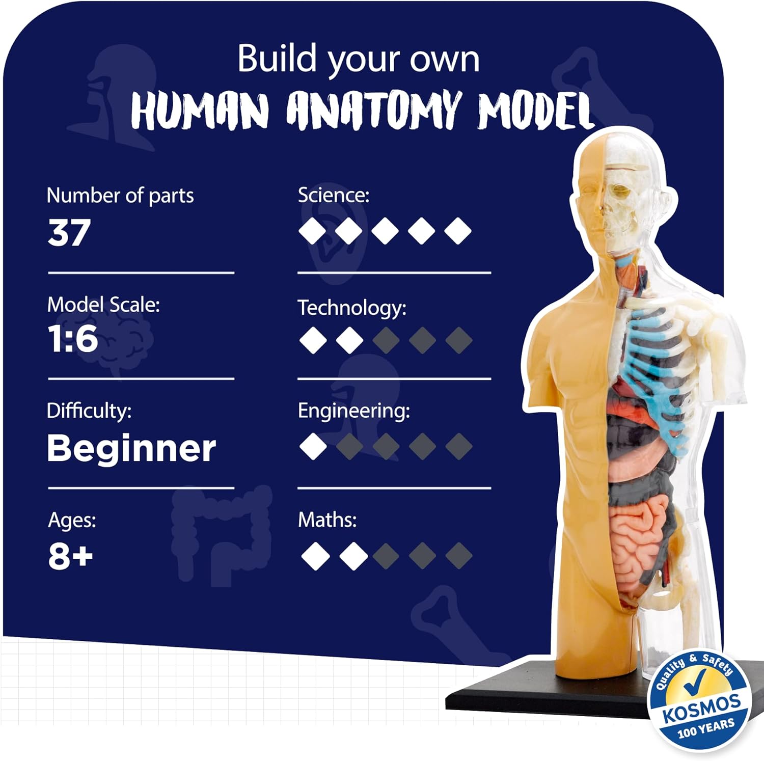 Thames & Kosmos, 260830, Human Body Anatomy Model, 37 Parts with Stand and Guide Book, Build Your Own Human Body, Nature Discovery Range, Ages 8+
