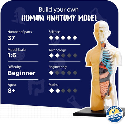 Thames & Kosmos, 260830, Human Body Anatomy Model, 37 Parts with Stand and Guide Book, Build Your Own Human Body, Nature Discovery Range, Ages 8+
