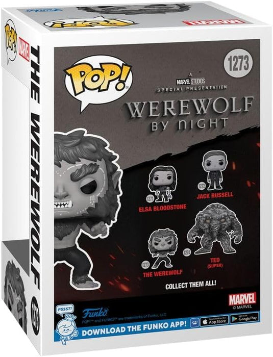Funko POP! Marvel: Werewolf By Night - Werewolf - Werewolf By Night - Collectable Vinyl Figure - Gift Idea - Official Merchandise - Toys for Kids & Adults - TV Fans - Model Figure for Collectors