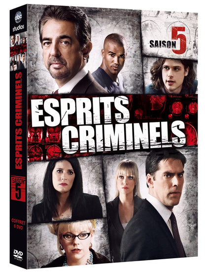 Coffret esprits criminels, saison 5