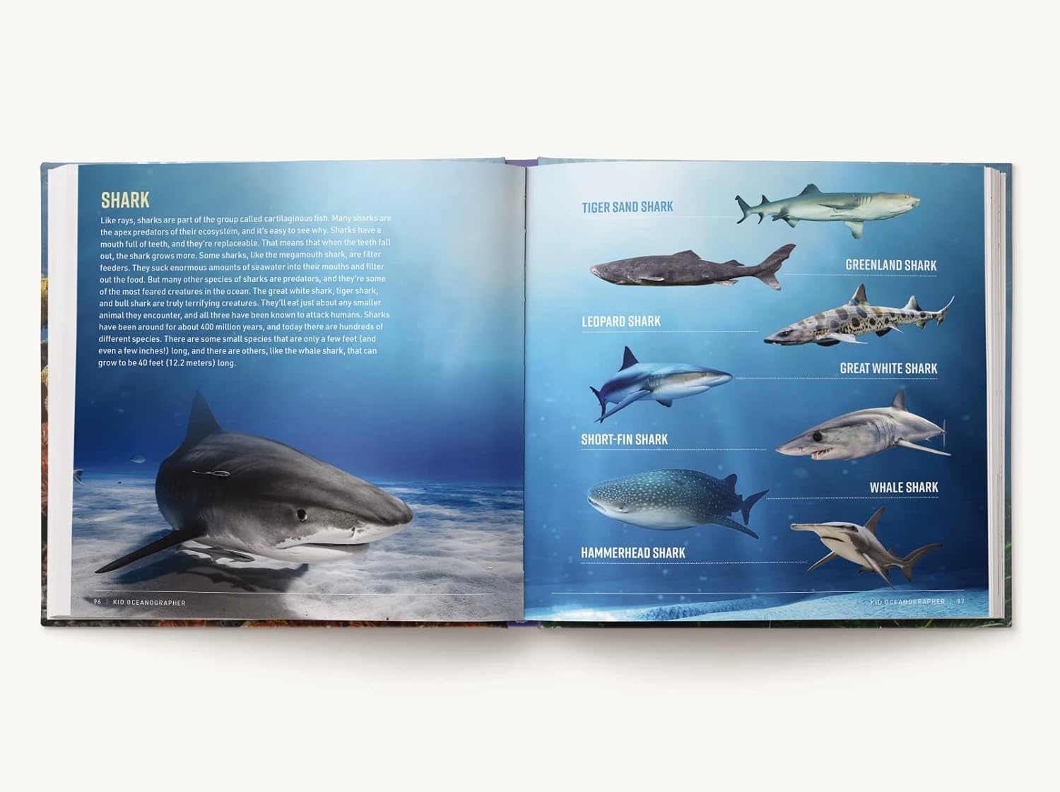 Kid Oceanographer