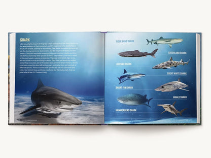 Kid Oceanographer