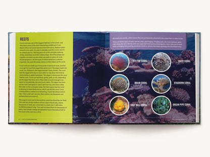 Kid Oceanographer
