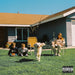 USA  explicit_lyrics