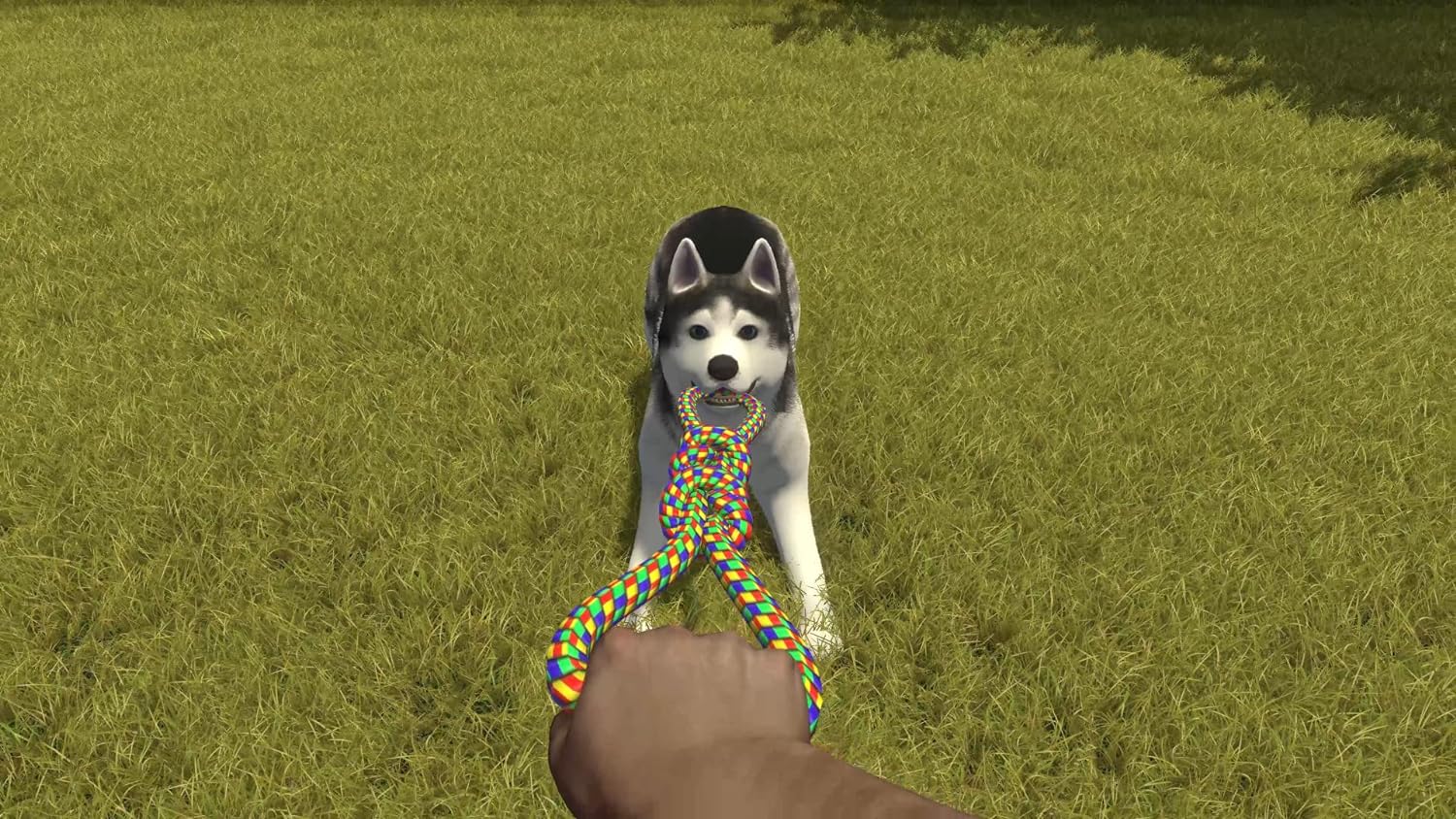House Flipper - Pets Edition (Nintendo Switch