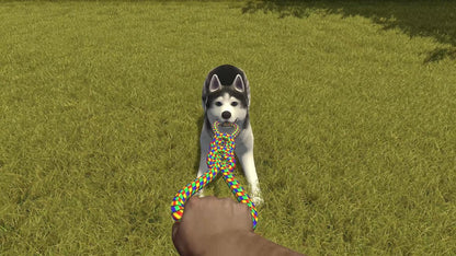 House Flipper - Pets Edition (Nintendo Switch