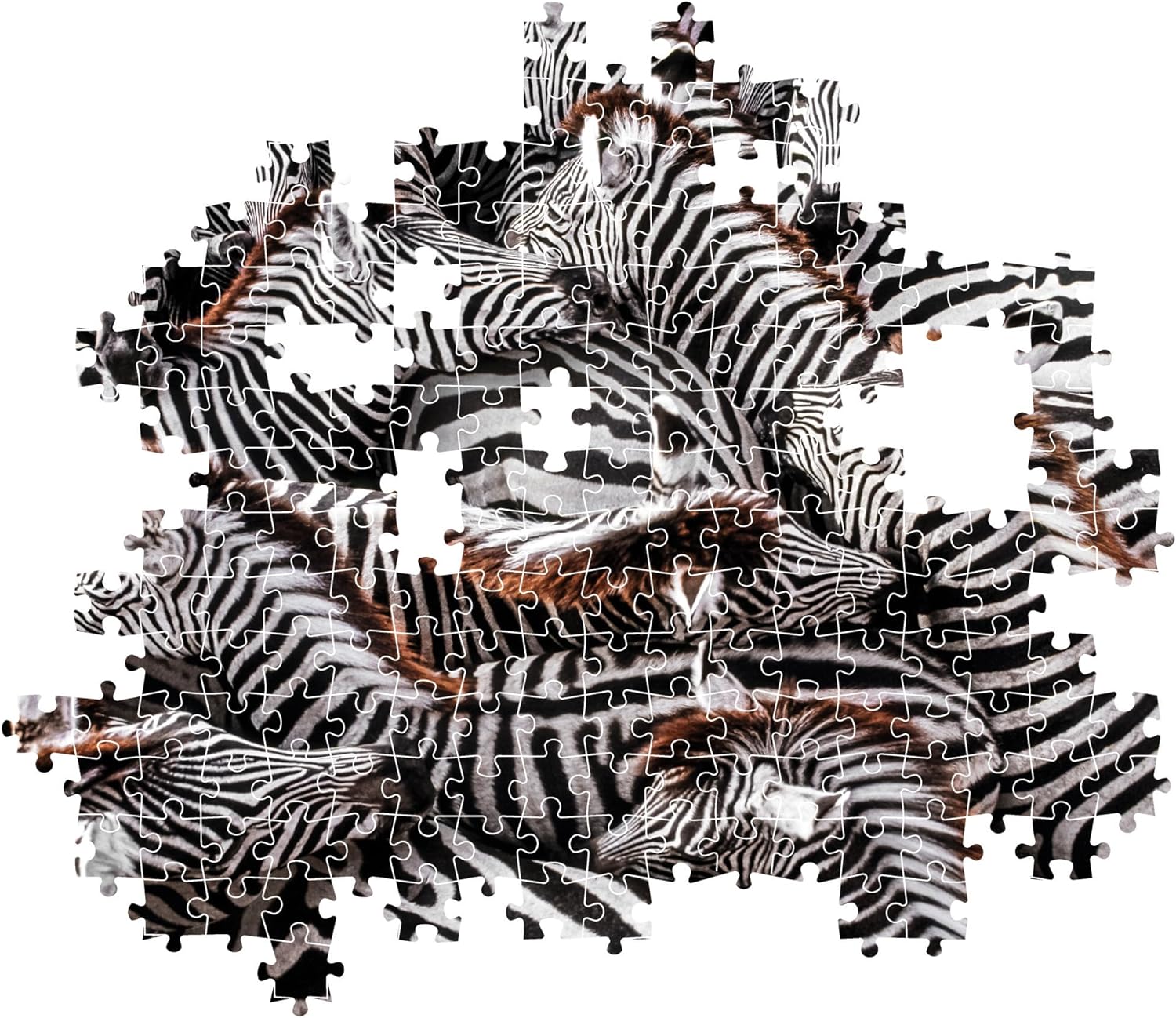 Clementoni 39729 National Geographic-Zebras in Holding Pen 1000 Pieces, Jigsaw Adults, Puzzle Animals-Made in Italy, multi-coloured