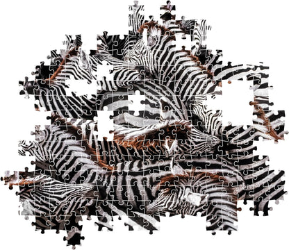 Clementoni 39729 National Geographic-Zebras in Holding Pen 1000 Pieces, Jigsaw Adults, Puzzle Animals-Made in Italy, multi-coloured