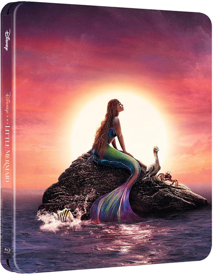 The Little Mermaid   (English audio. English subtitles)