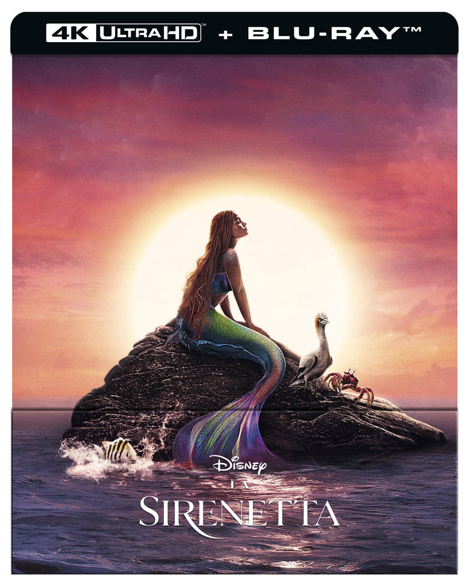 The Little Mermaid   (English audio. English subtitles)