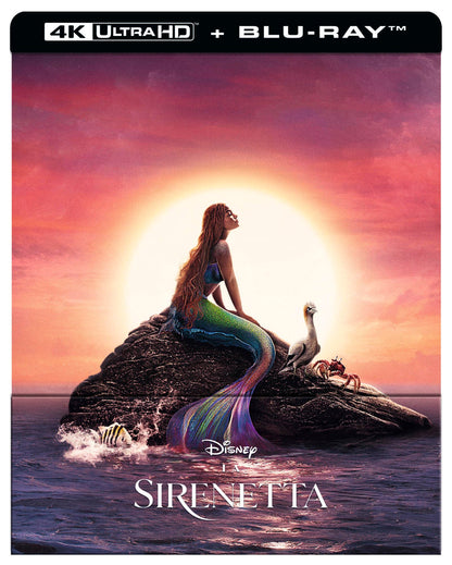 The Little Mermaid   (English audio. English subtitles)