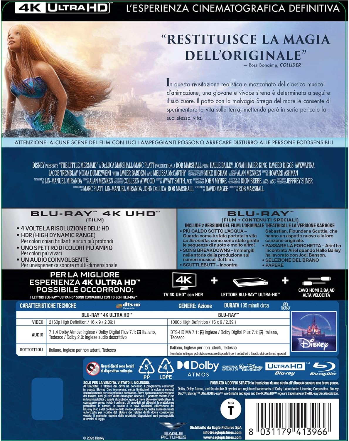 The Little Mermaid   (English audio. English subtitles)
