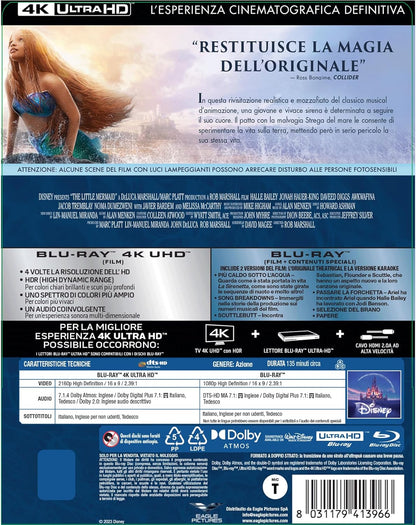 The Little Mermaid   (English audio. English subtitles)
