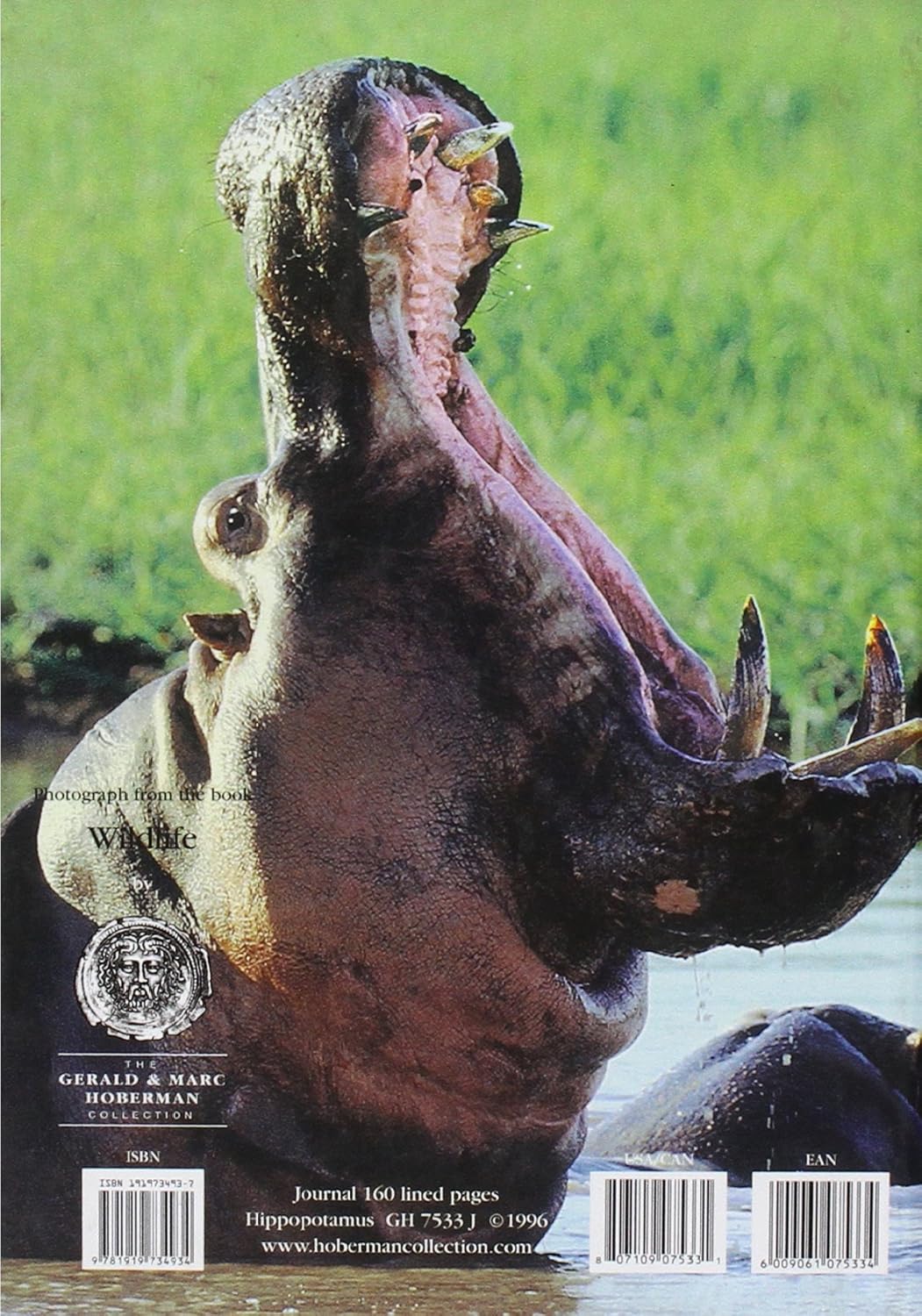 Hippopotamus Journal