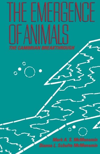 The Emergence of Animals