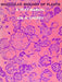 Molecular Biology of Plants