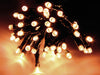 divers - Buiten Ledverlichting 40 Led - Warm White 300cm