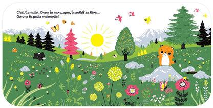 Regarde Dans La Montagne