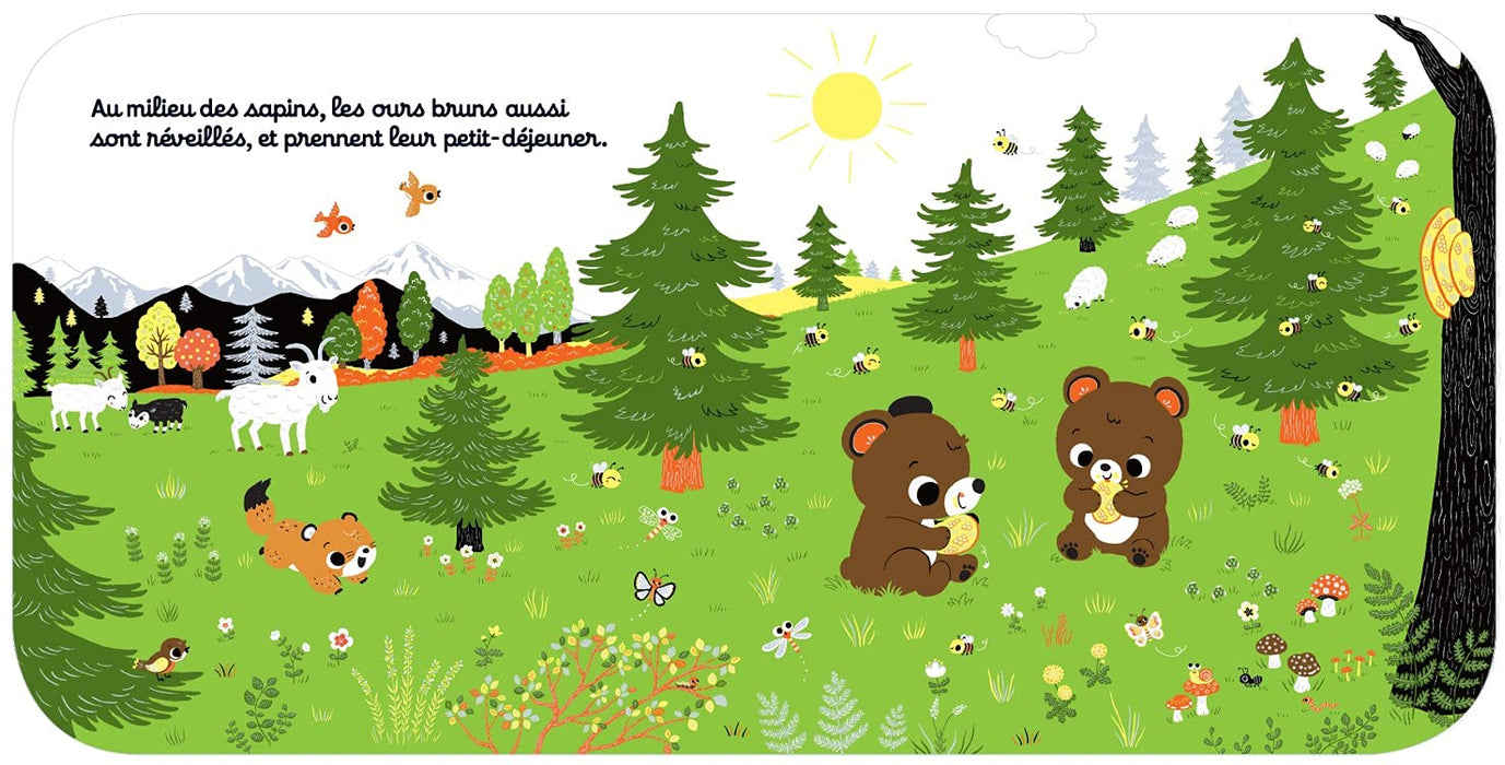 Regarde Dans La Montagne