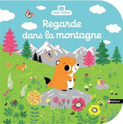 Regarde Dans La Montagne