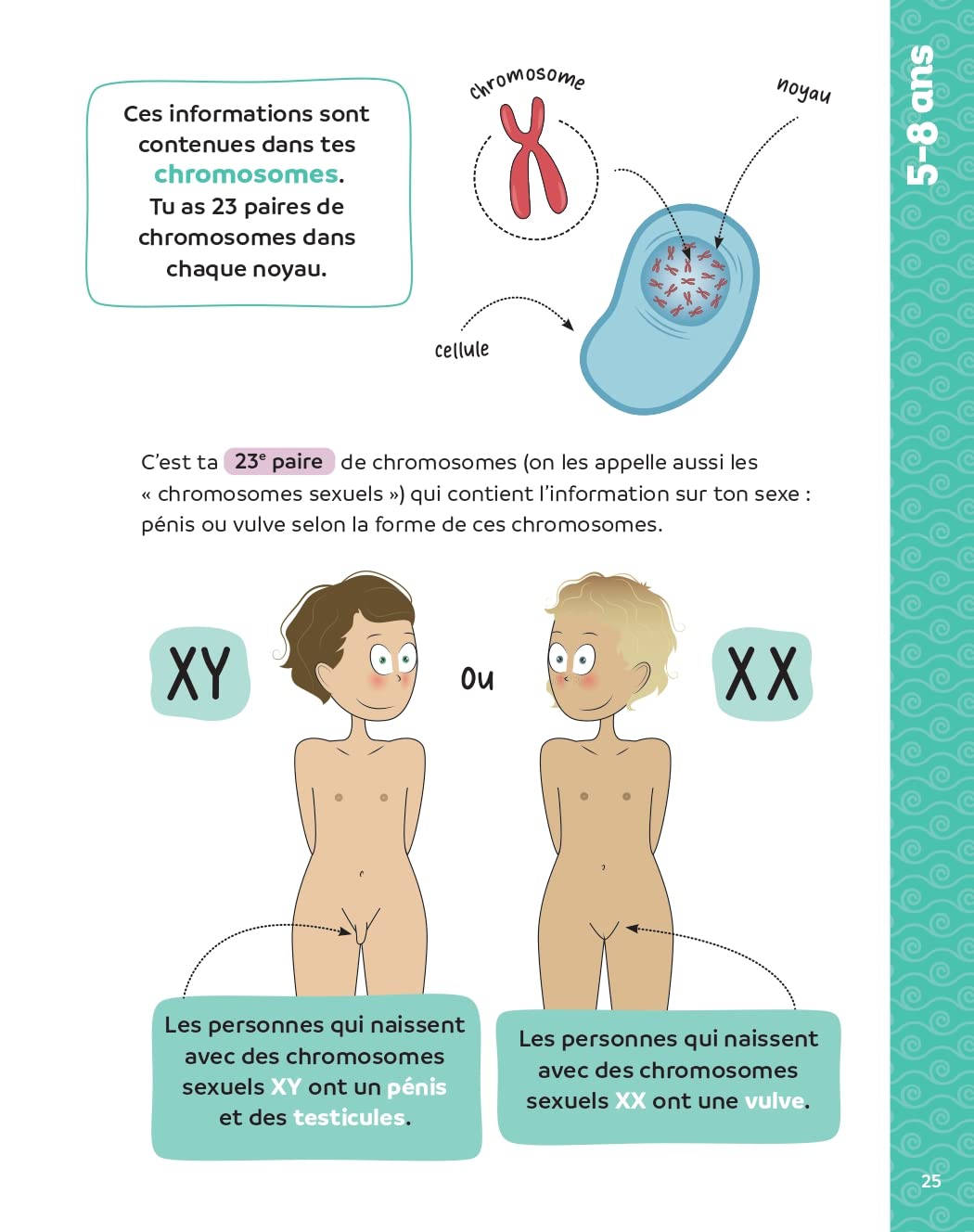Corps, amour, sexualité : les 120 questions que vos enfants vont vous poser Nouvelle édition...: Le premier guide d'éducation à la sexualité positive pour toutes les familles