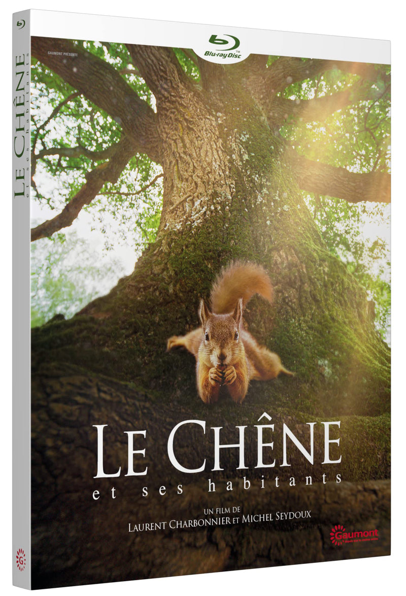 Le chêne