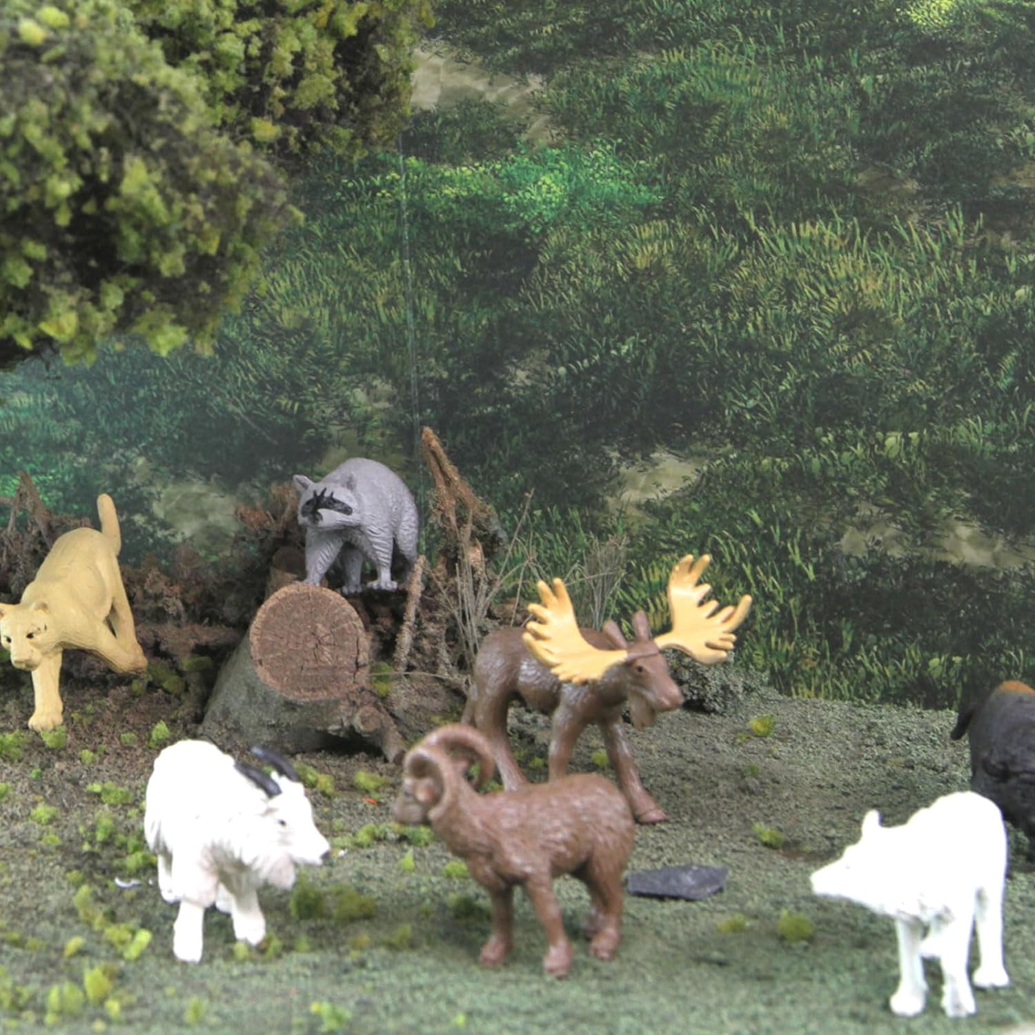 North American Wildlife