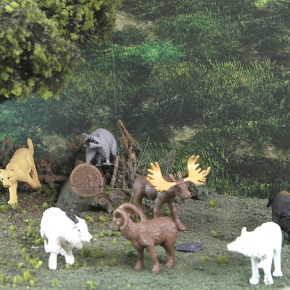 North American Wildlife