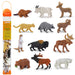 North American Wildlife