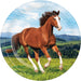 Creative Converting: Plt9 Ss 12/8Ct Horse And Pony Qs
