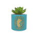 Disney Plant Pot, Stoneware, Turquoise, 150ml 150ml Turquoise
