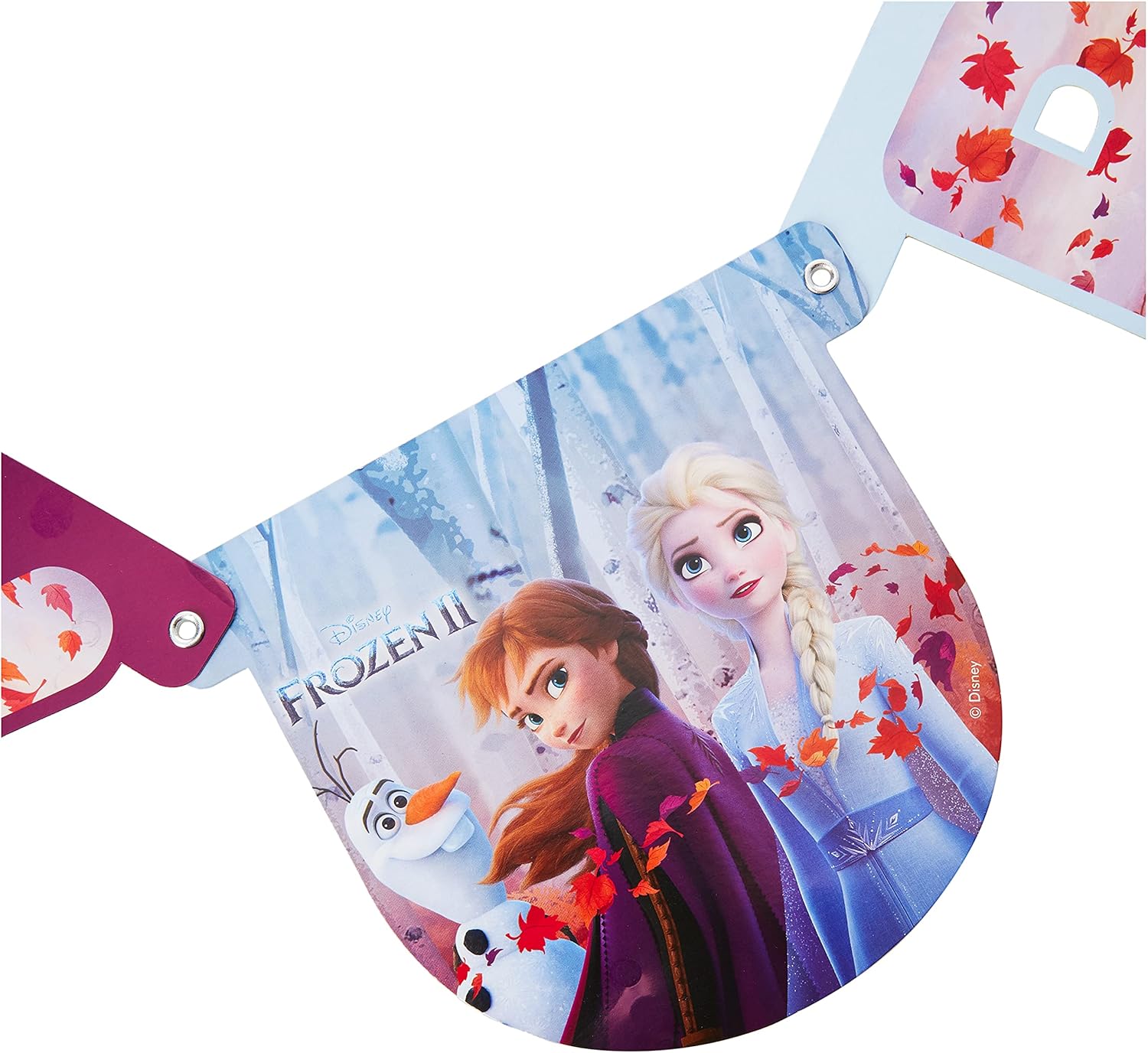 Disney Frozen 2 10066553 PR91132 Banner, Multi-Coloured