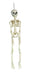 Haunted House – Skeleton Pendant 45 cm, Multicolour (Rubies S4387