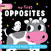 BLACK AND WHITE BOOKS - OPPOSITES (My First Black & White Books