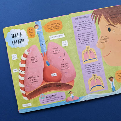 How Does the Human Body Work?