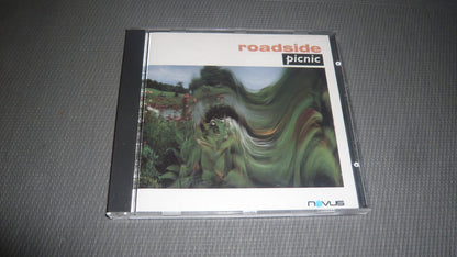 Roadside picnic