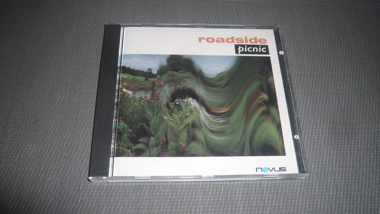 Roadside picnic
