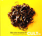 Ma Che Musica E`? Musica Cult Da Cult Tv