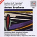 Symphony No. 8 C Minor ``Apocalyptic``