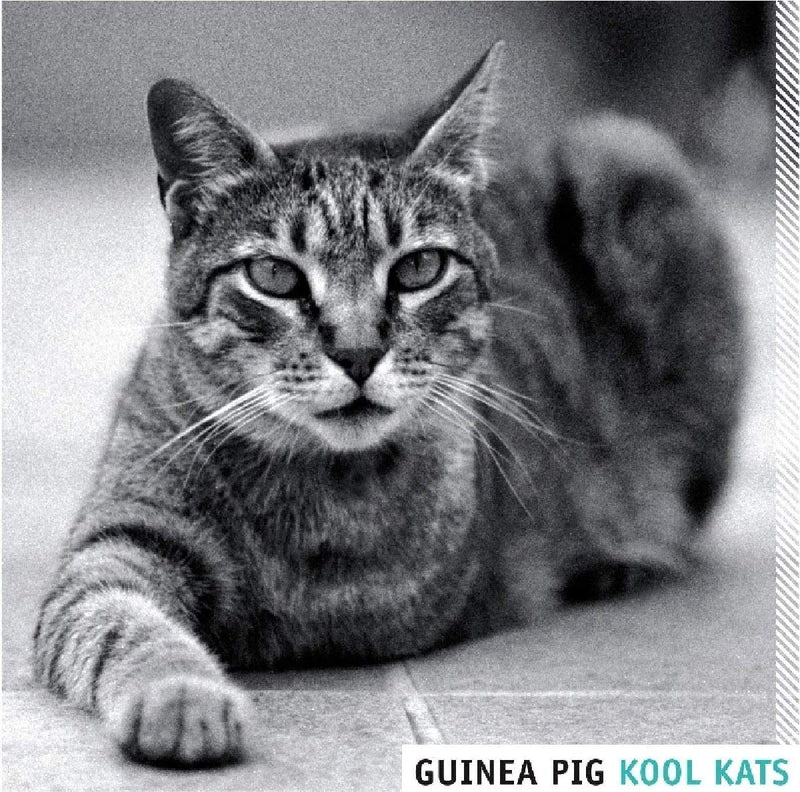 Kool Kats