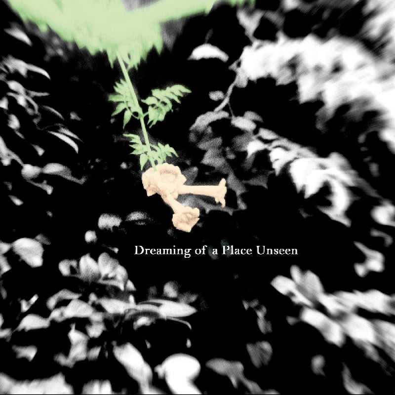 Dreaming Of A Place Unseen