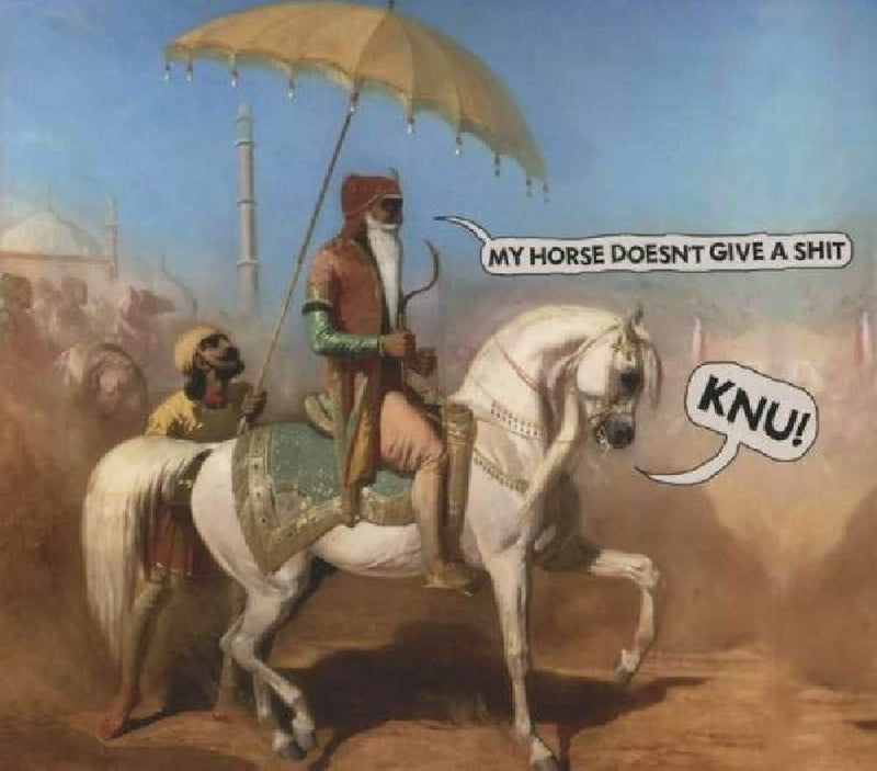 My Horse Doesn`T Give A Shit