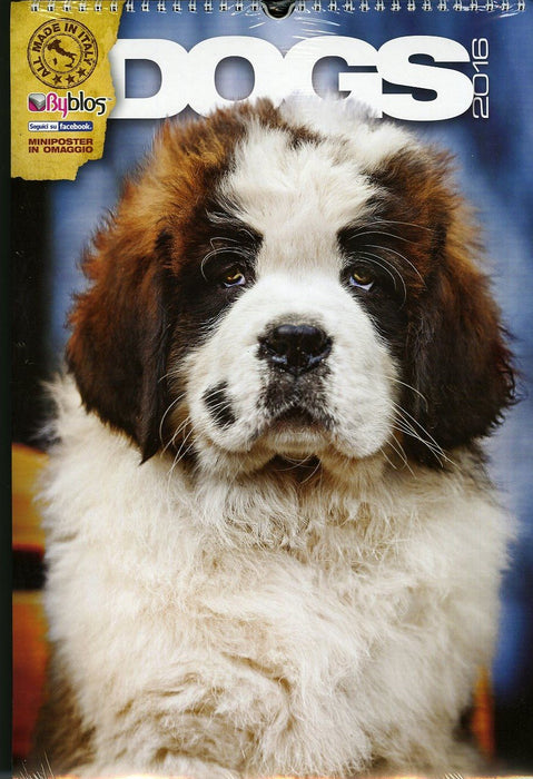 Byblos 79079 Calendar