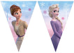 Procos 93843 Flag Banner Frozen 2 Wind Spirit, FSC® Mix, Hanging Decoration, Garland, Birthday, Theme Party