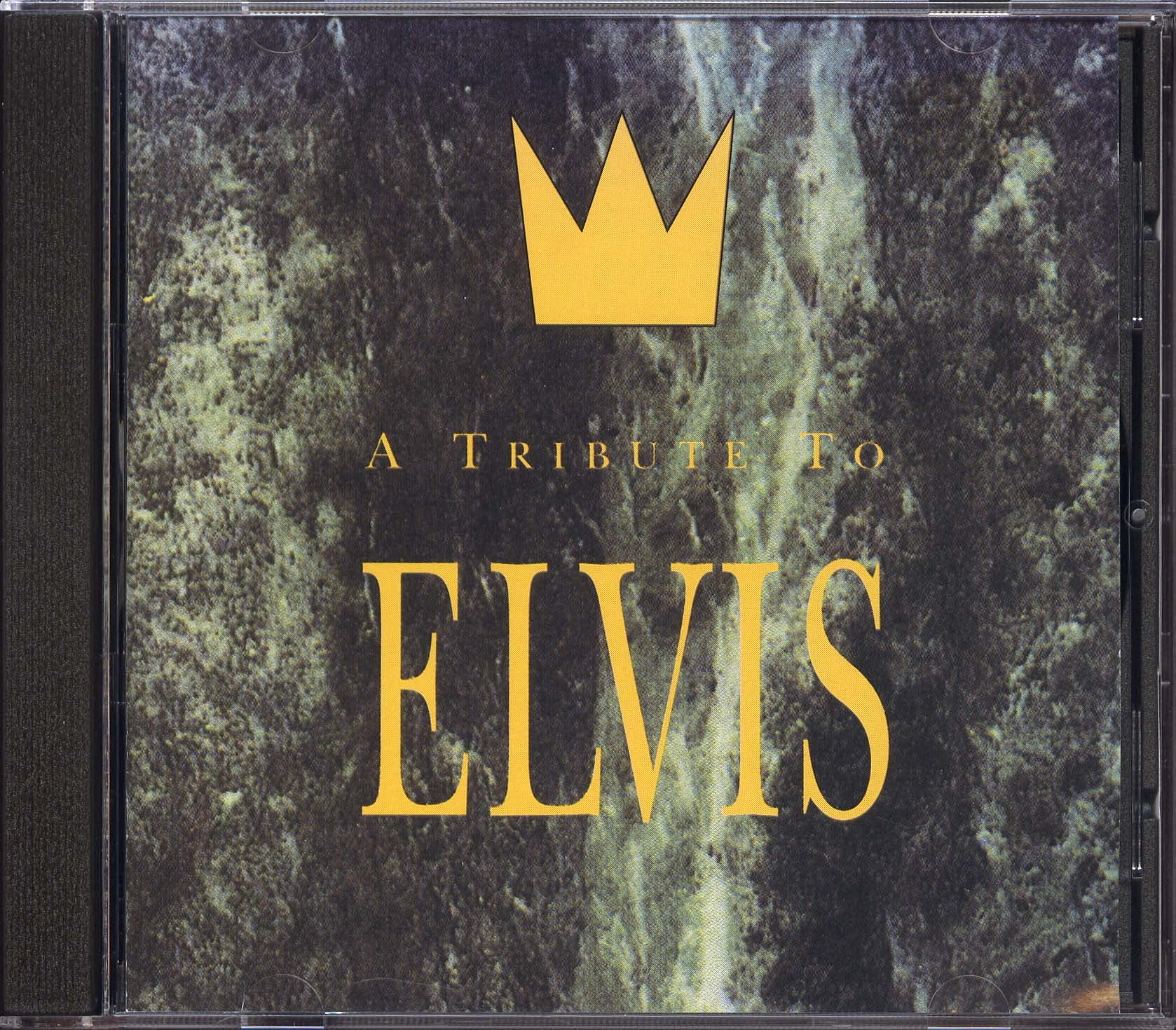 Tribute to Elvis